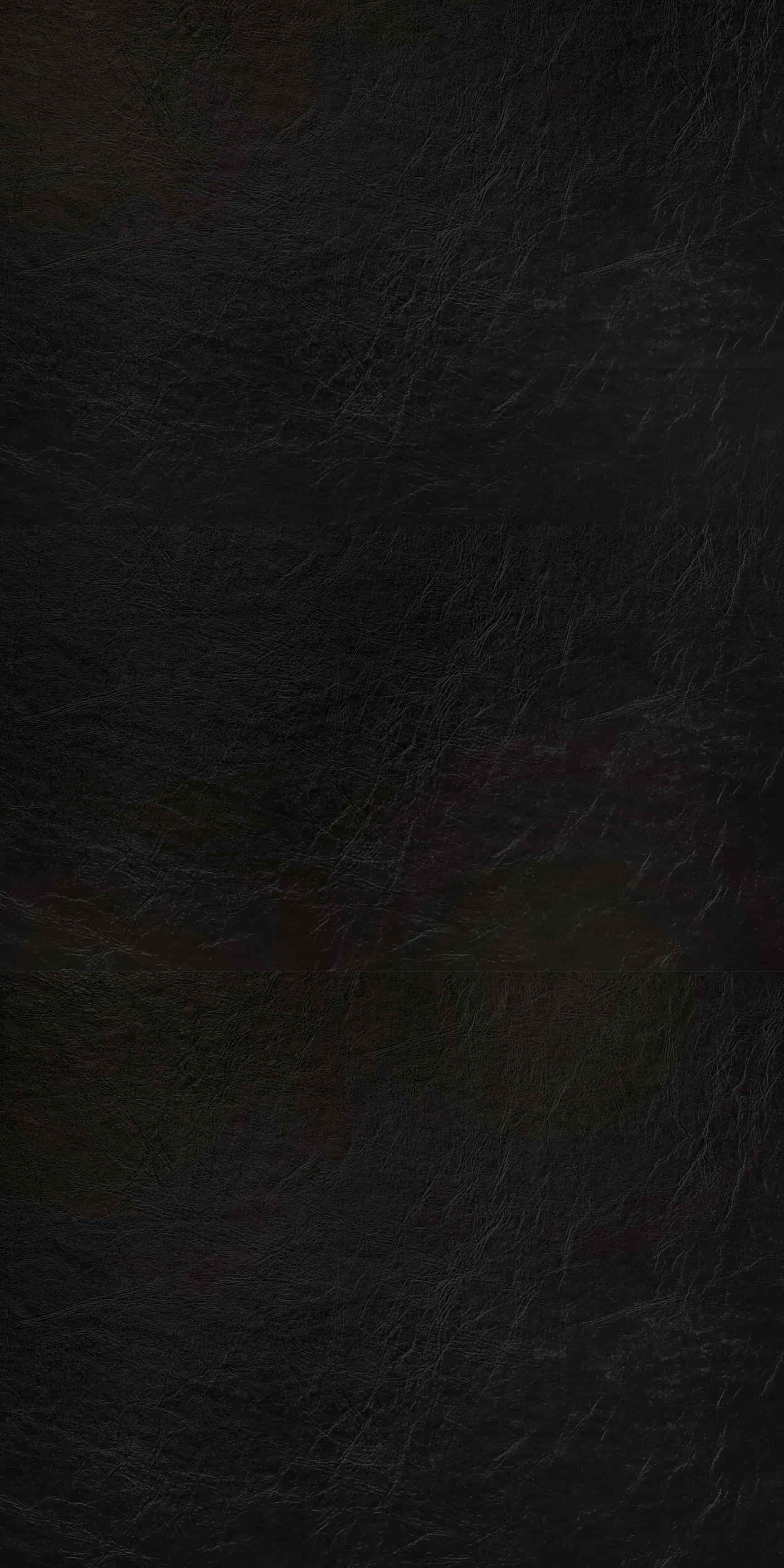 images of product FOL 72024 OL Oxhide Black (A13)