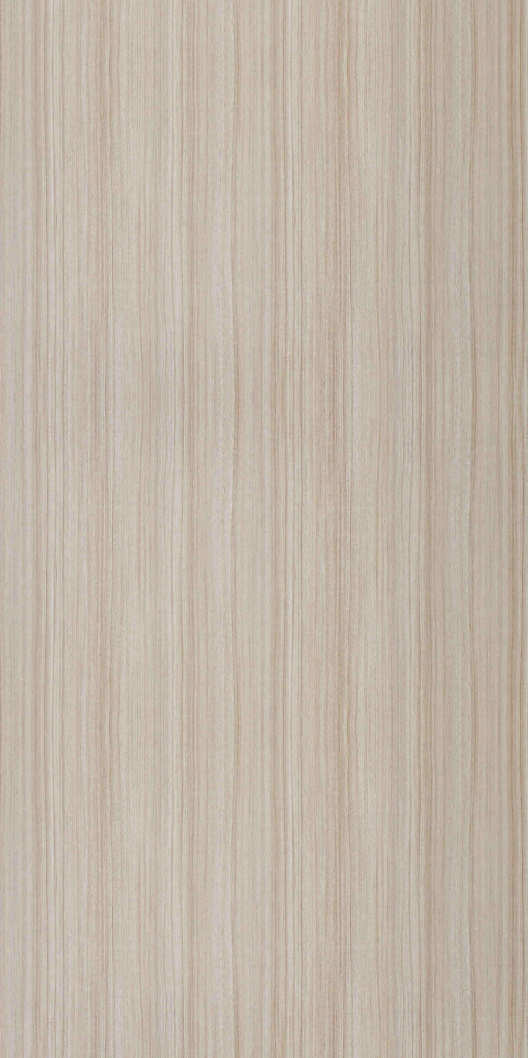 gambar produk Hosta Walnut (A8)