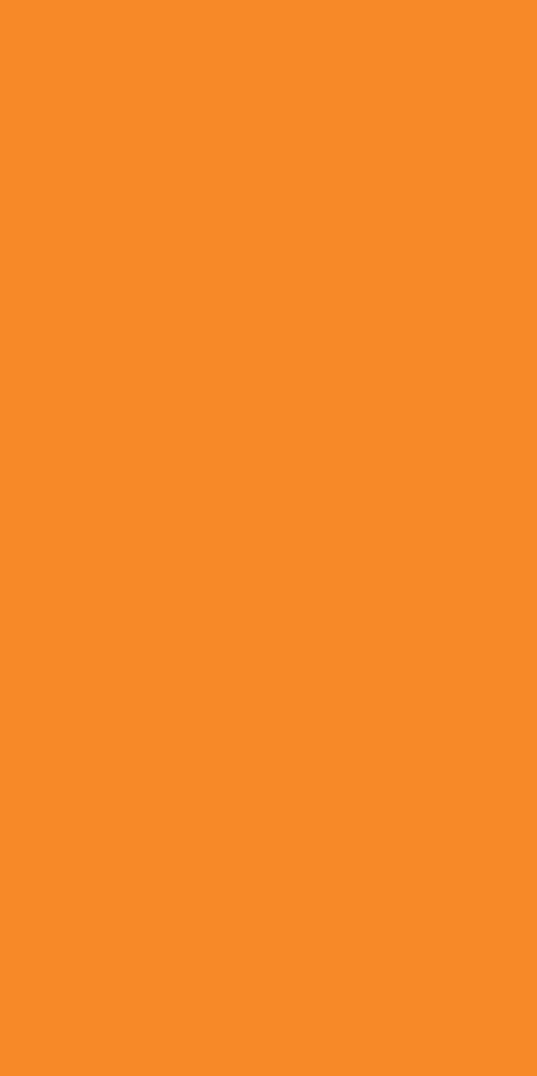 images of product GW 207 T Orange (A4)