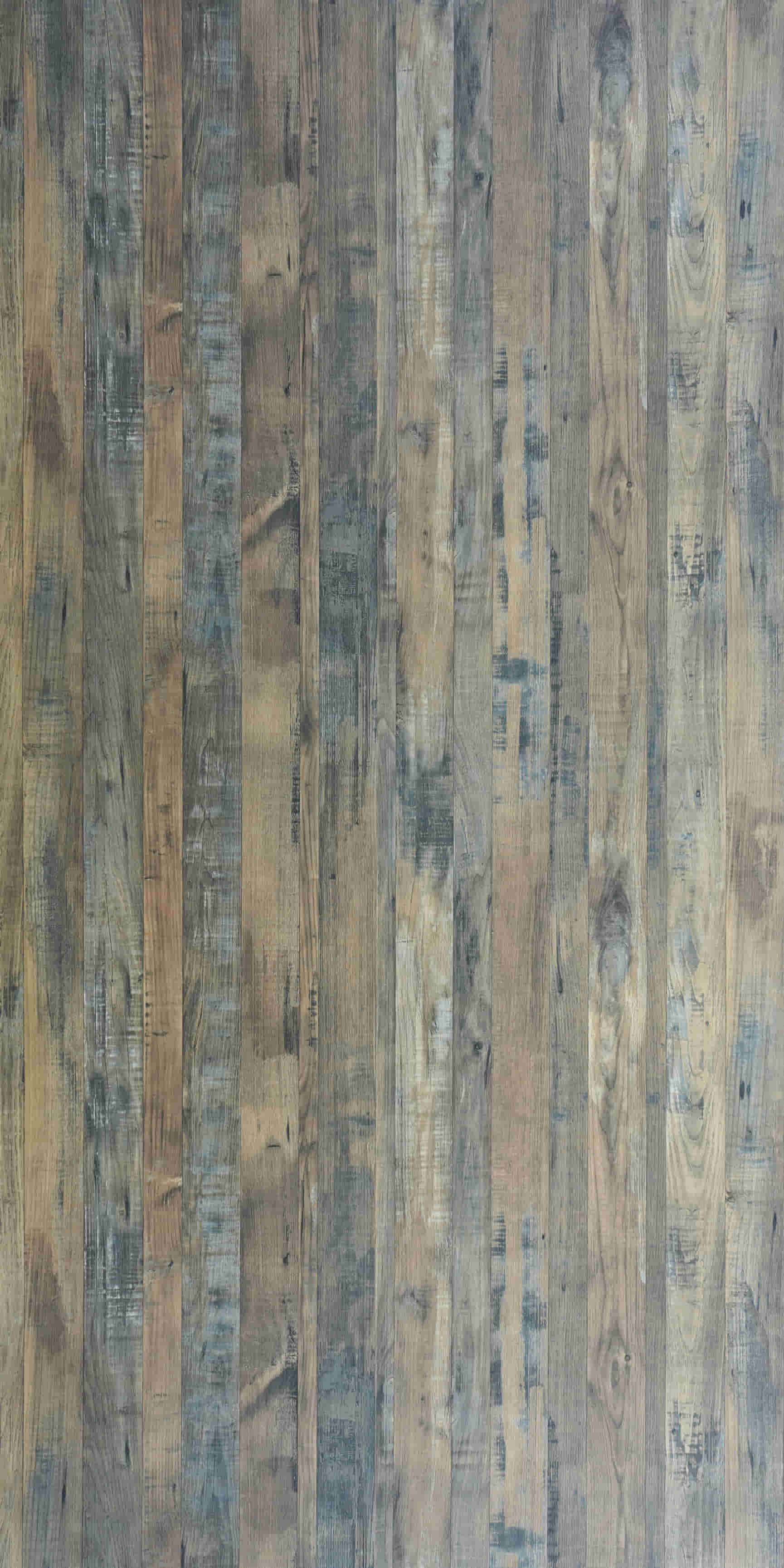 gambar Spring Bamboo (A12)
