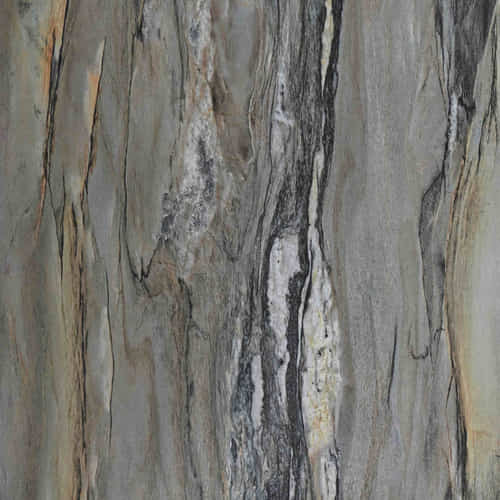 gambar Rich Oliuss Glossy (A12)
